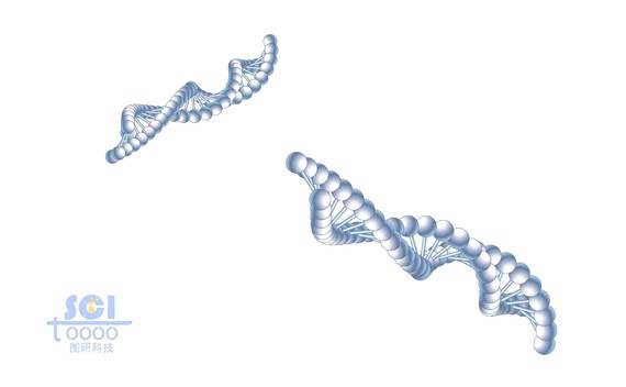 dna双螺旋结构